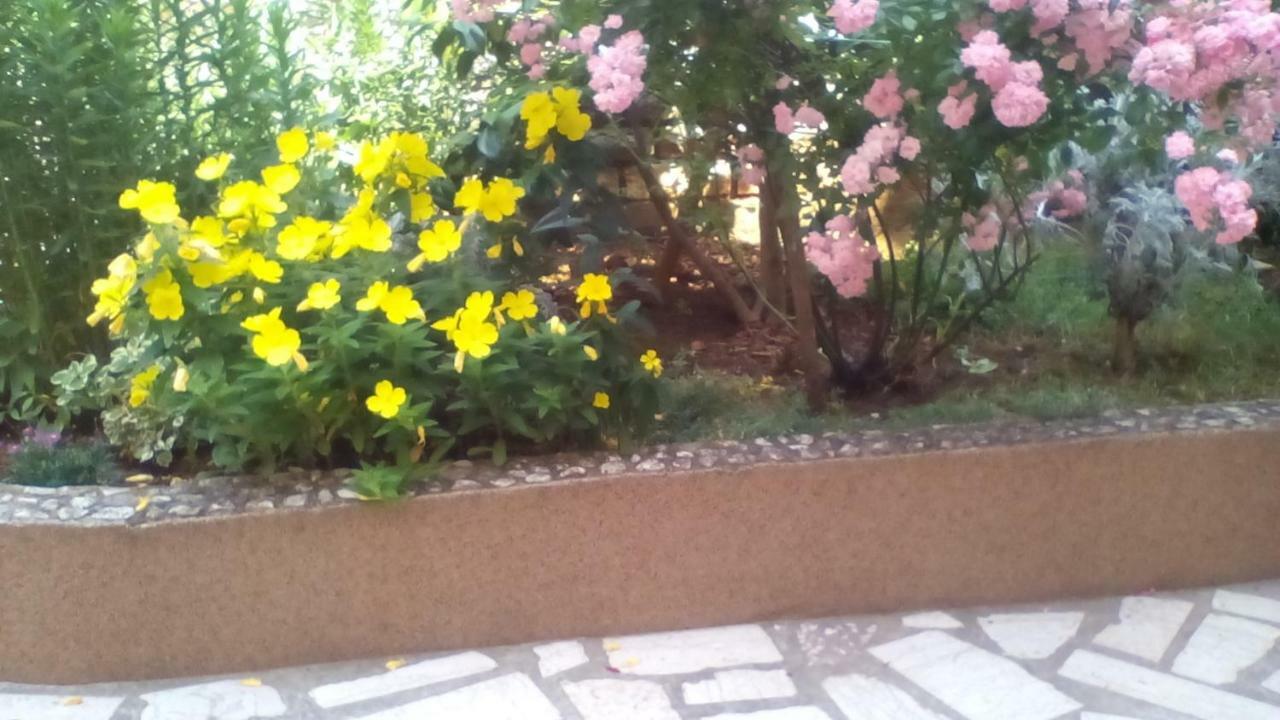 Apartment Tea Pula Dış mekan fotoğraf